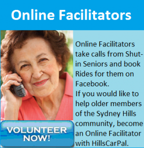 Online Facilitator Call